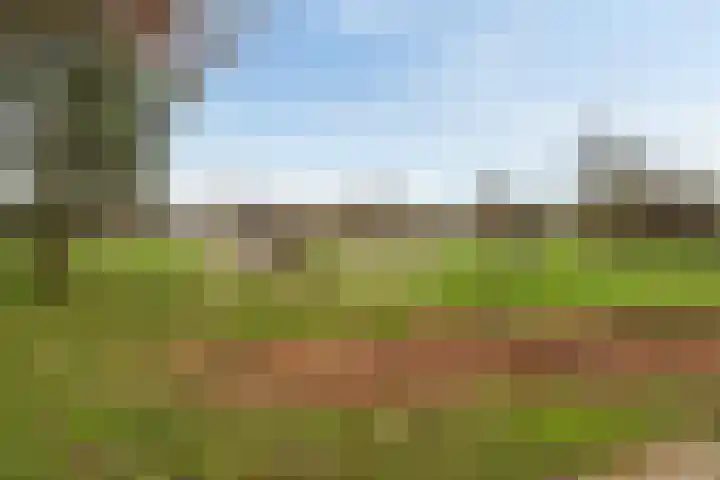Mottoen 74 Uden thumbnail 74
