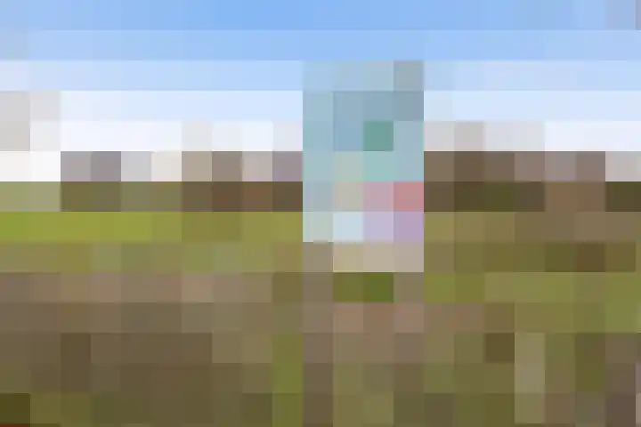 Mottoen 74 Uden thumbnail 75