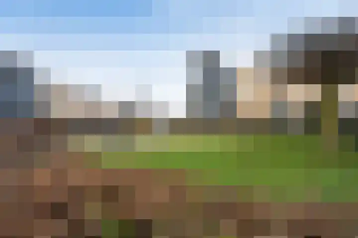 Mottoen 74 Uden thumbnail 78