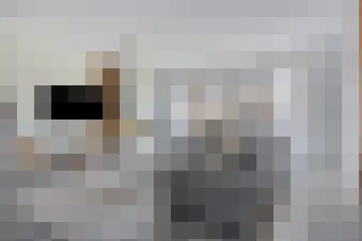 Mottoen 90 Uden thumbnail 11