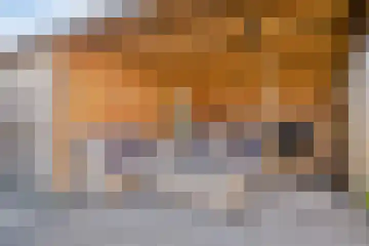 Mottoen 90 Uden thumbnail 54