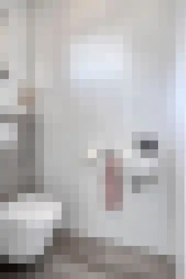 Mottoen 90 Uden thumbnail 8