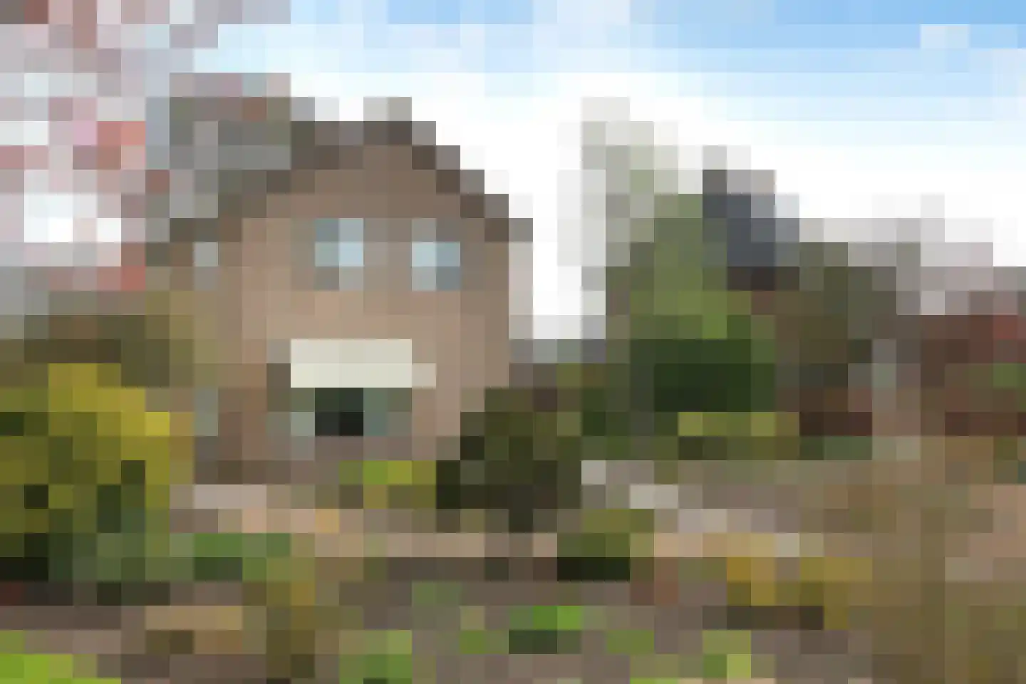 Moundyk 6 Stiens thumbnail 16