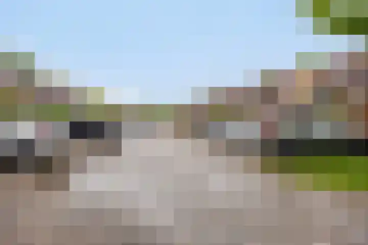 Moundyk 6 Stiens thumbnail 17