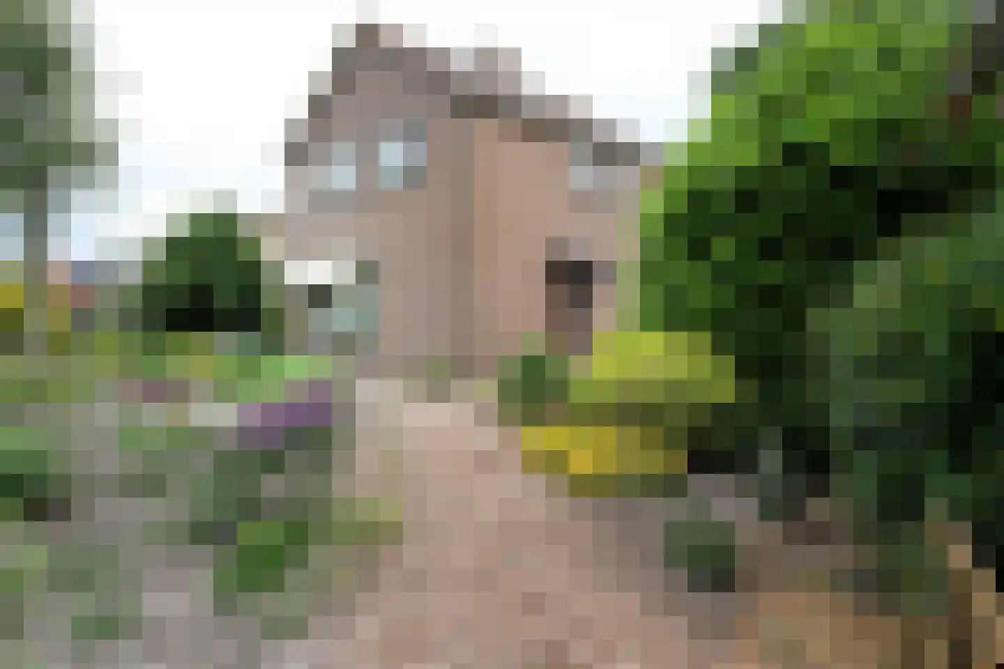 Moundyk 6 Stiens thumbnail 17