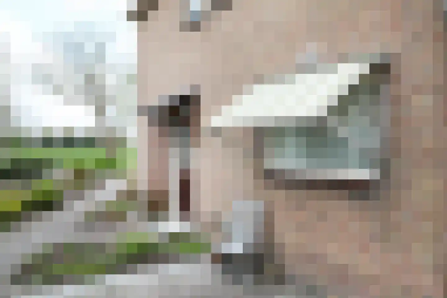Moundyk 6 Stiens thumbnail 18