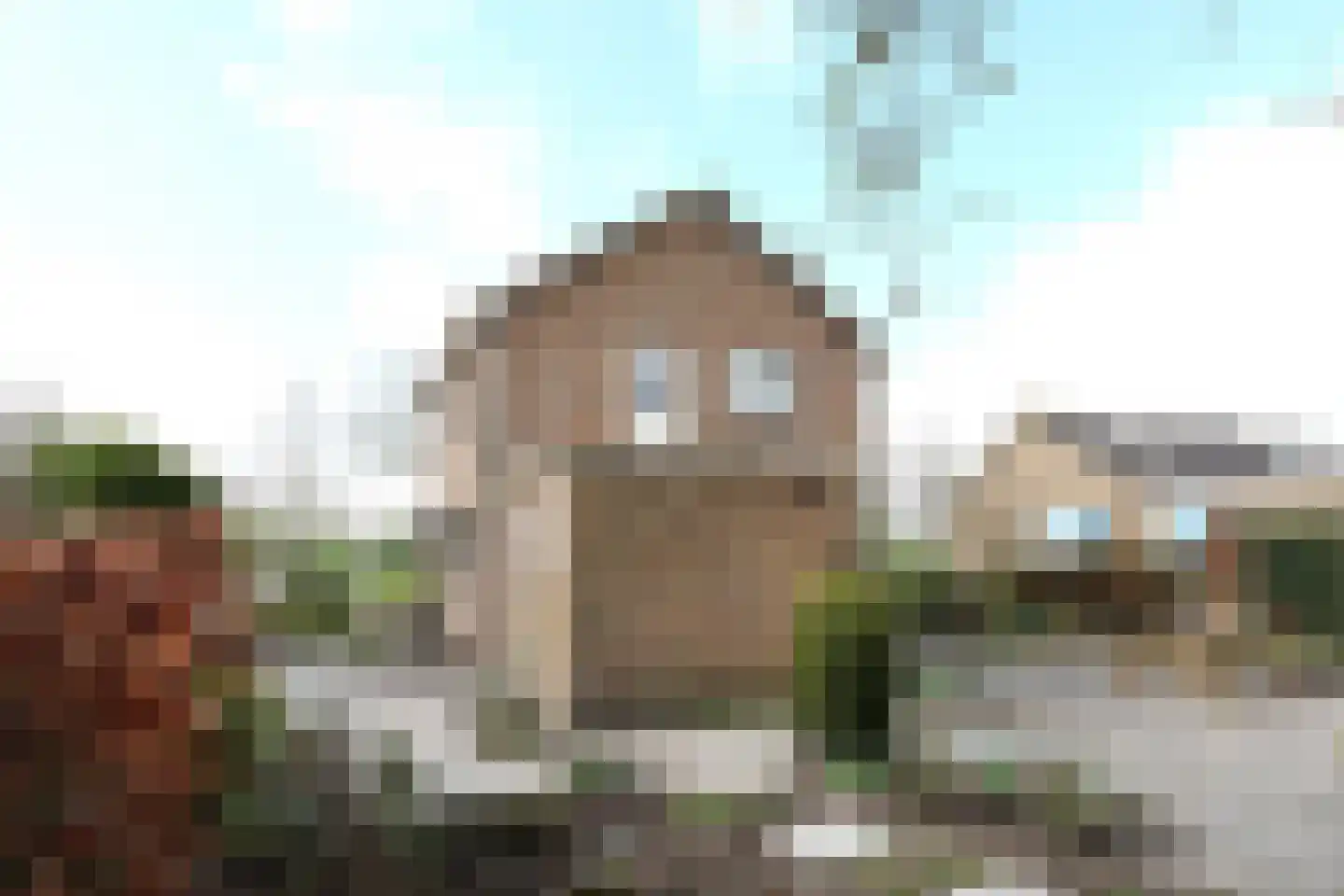 Moundyk 6 Stiens thumbnail 19