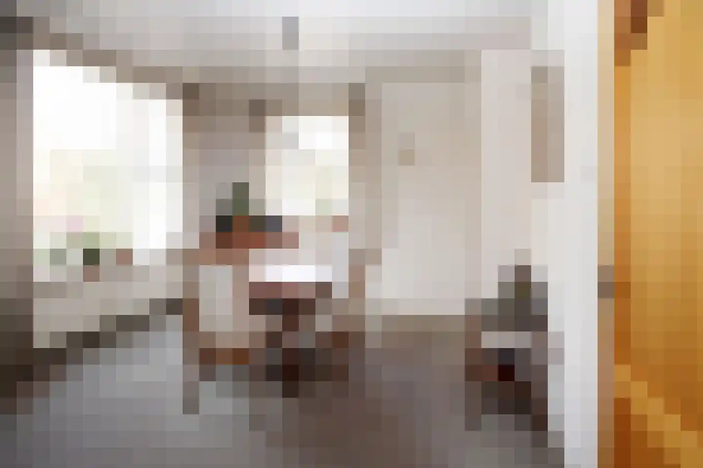 Moundyk 6 Stiens thumbnail 6