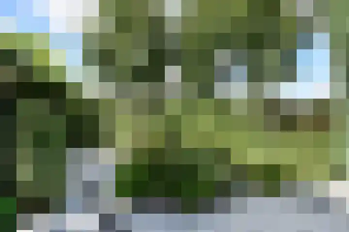 Moundyk 6 Stiens thumbnail 7