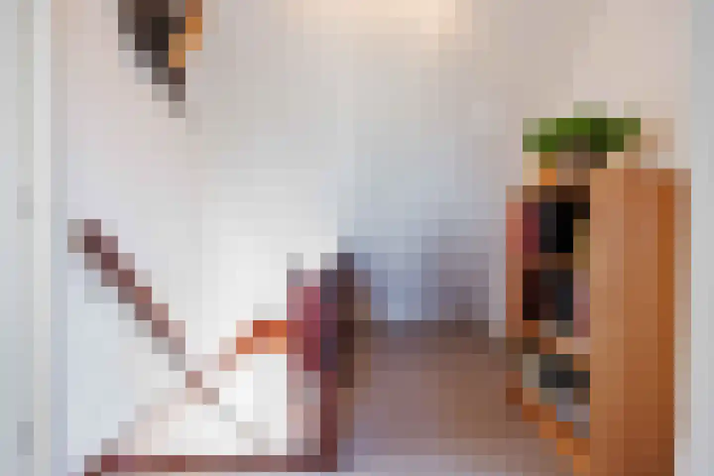 Mounedyk 9 Akkrum thumbnail 24
