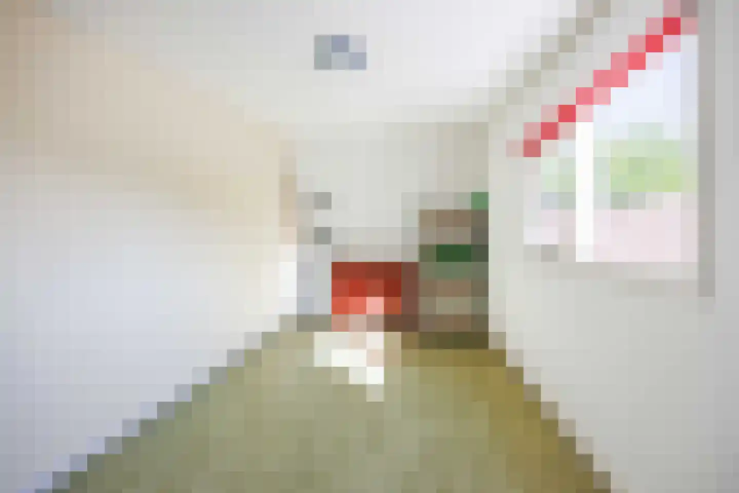 Mounedyk 9 Akkrum thumbnail 37