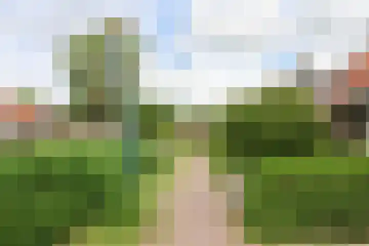 Mounestrjitte 8 Easterwierrum thumbnail 11