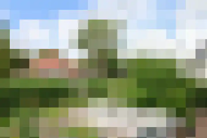Mounestrjitte 8 Easterwierrum thumbnail 12