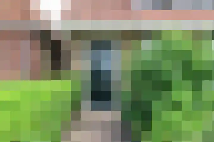Mounestrjitte 8 Easterwierrum thumbnail 14