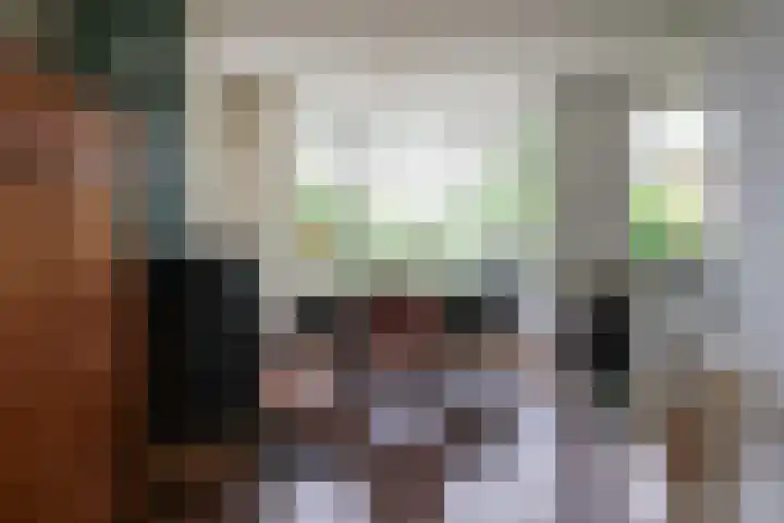 Mounestrjitte 8 Easterwierrum thumbnail 22
