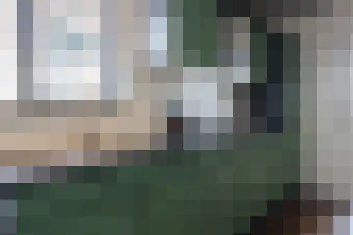 Mounestrjitte 8 Easterwierrum thumbnail 31