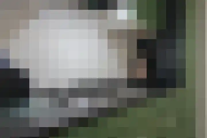 Mounestrjitte 8 Easterwierrum thumbnail 32