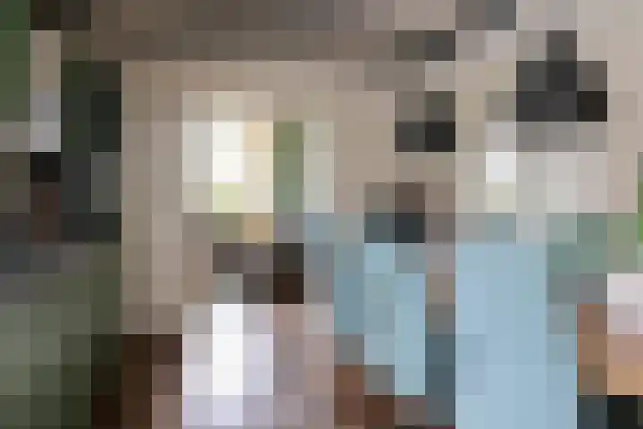 Mounestrjitte 8 Easterwierrum thumbnail 33
