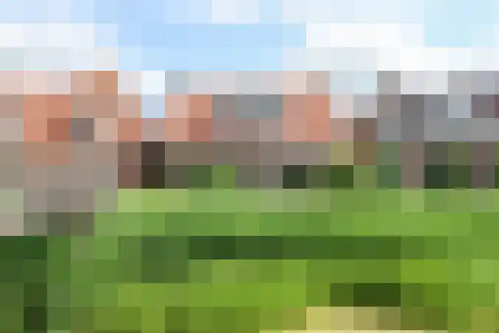 Mounestrjitte 8 Easterwierrum thumbnail 5
