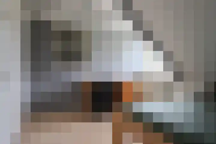 Mounestrjitte 8 Easterwierrum thumbnail 53