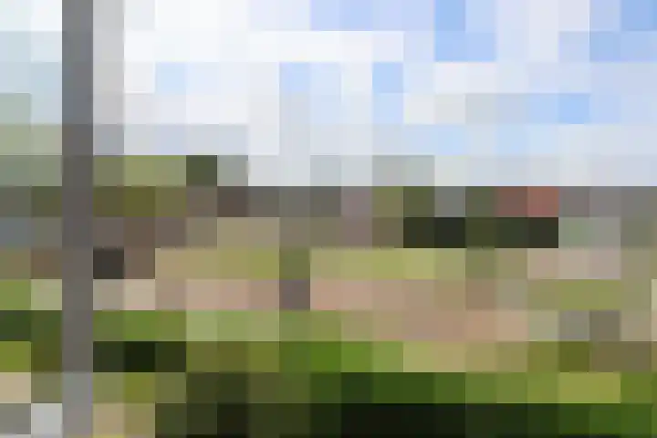 Mounestrjitte 8 Easterwierrum thumbnail 54