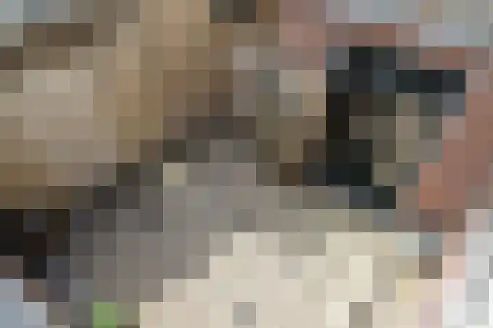 Mounestrjitte 8 Easterwierrum thumbnail 62