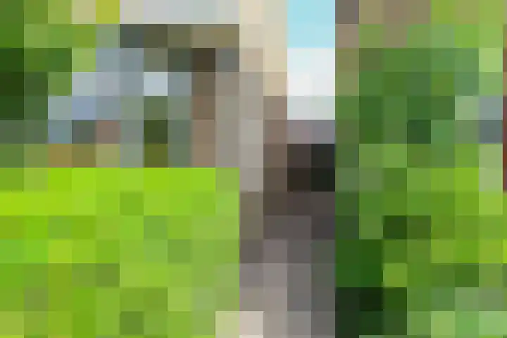 Mounestrjitte 8 Easterwierrum thumbnail 66