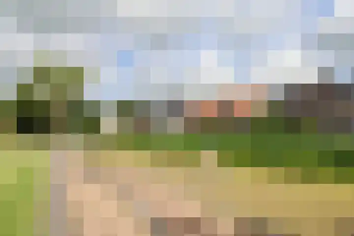Mounestrjitte 8 Easterwierrum thumbnail 68