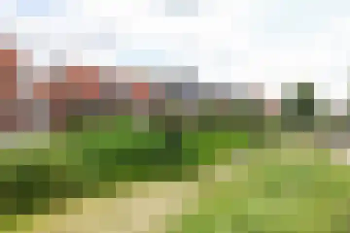 Mounestrjitte 8 Easterwierrum thumbnail 7