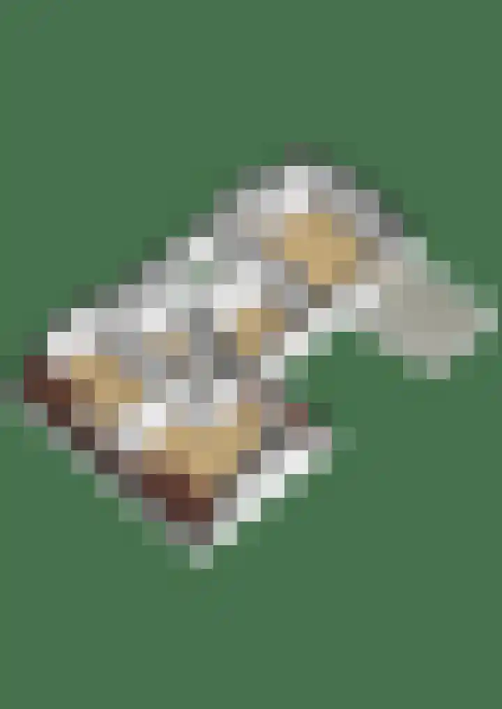 Mounestrjitte 8 Easterwierrum thumbnail 72