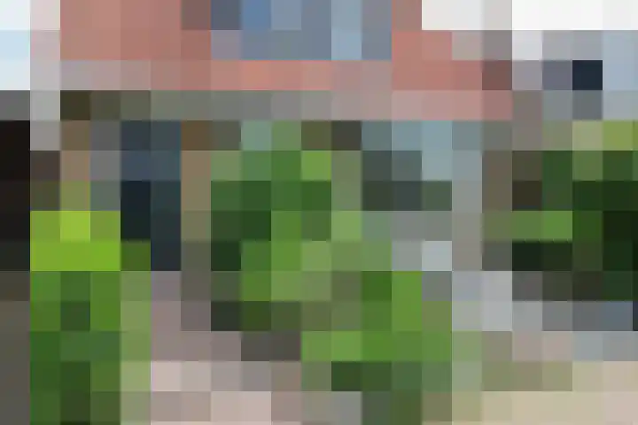 Mounestrjitte 8 Easterwierrum thumbnail 9