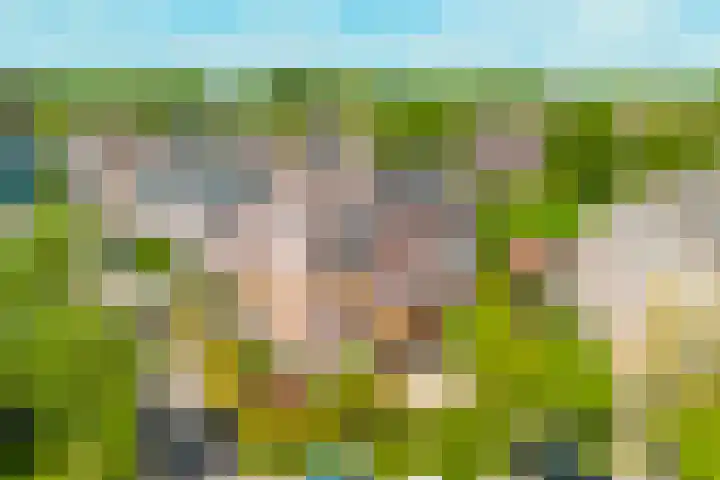 Mouterij 19 Gorredijk