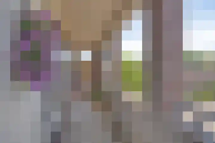 Mouterij 21 Gorredijk thumbnail 10