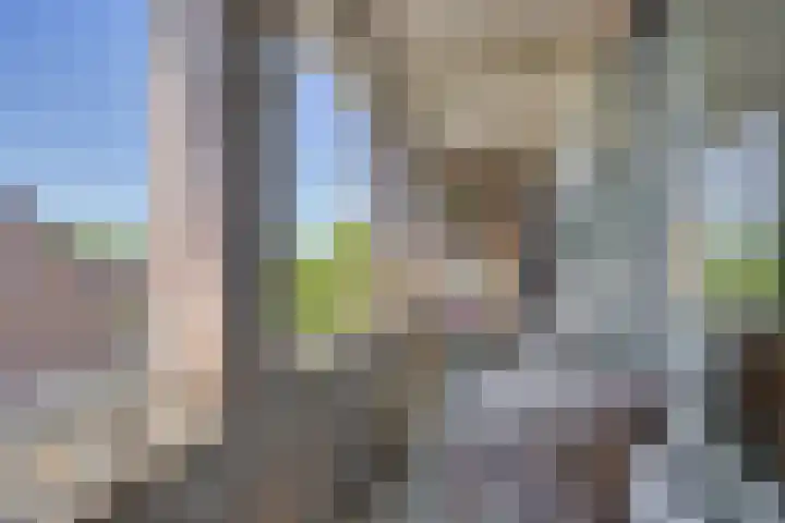 Mouterij 21 Gorredijk thumbnail 14
