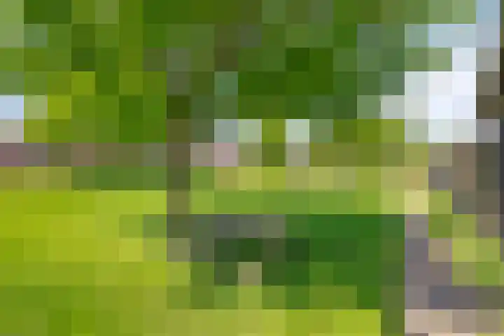 Mouterij 21 Gorredijk thumbnail 29