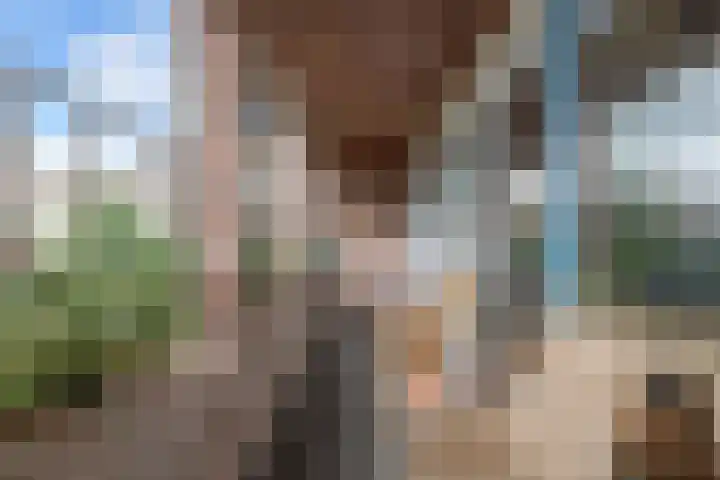 Mouterij 29 Gorredijk thumbnail 17