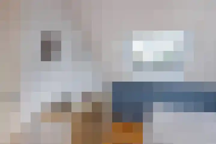 Mouterij 29 Gorredijk thumbnail 21