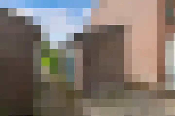 Mouterij 29 Gorredijk thumbnail 28