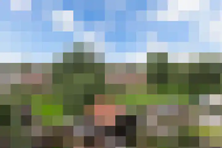 Mouterij 29 Gorredijk thumbnail 29