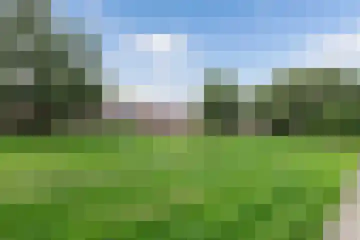 Mouterij 29 Gorredijk thumbnail 30