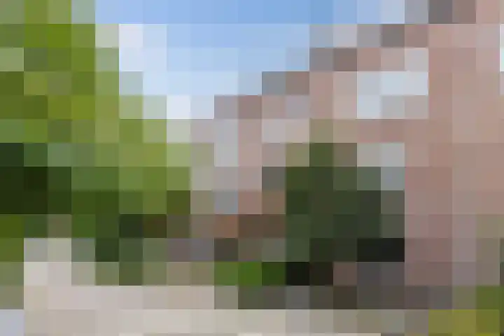 Mouterij 29 Gorredijk thumbnail 31