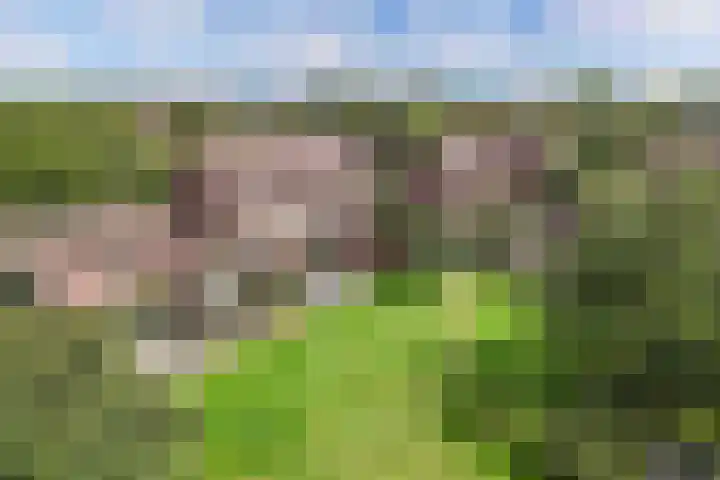 Mouterij 29 Gorredijk thumbnail 4