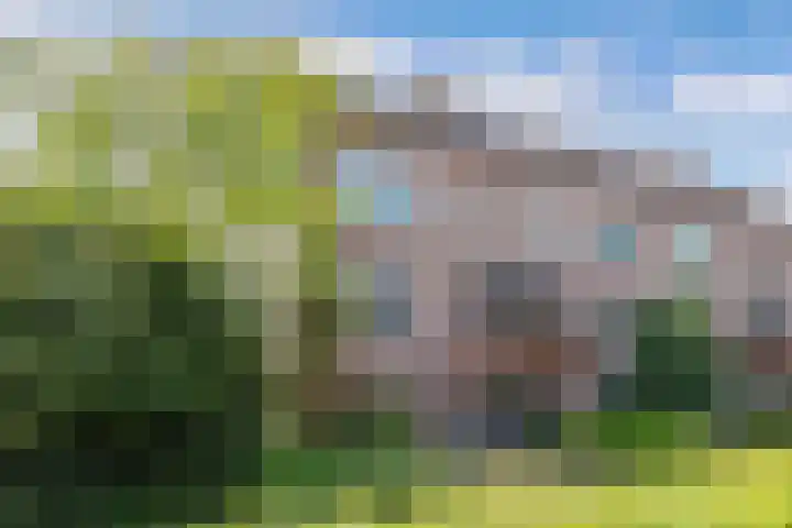 Mouterij 29 Gorredijk thumbnail 5