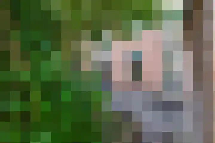 Mouterij 75 Gorredijk thumbnail 10