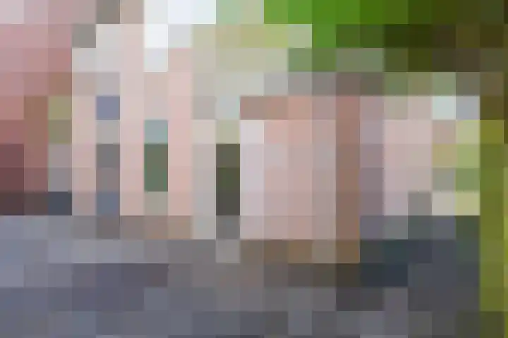 Mouterij 75 Gorredijk thumbnail 11