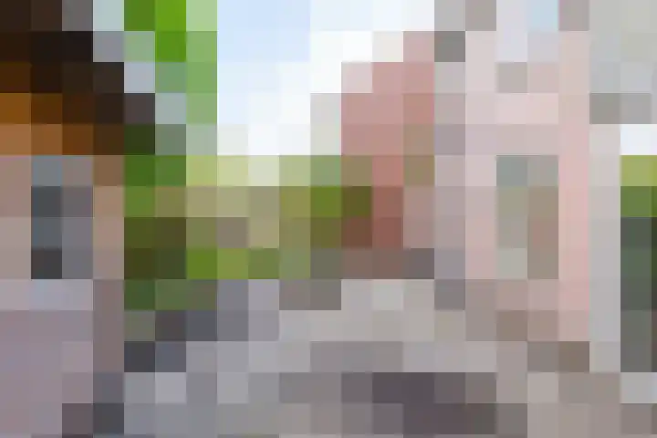 Mouterij 75 Gorredijk thumbnail 14