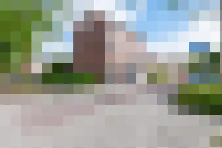 Mouterij 75 Gorredijk thumbnail 15