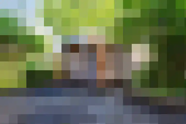 Mouterij 75 Gorredijk thumbnail 17
