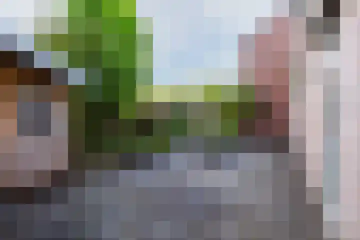 Mouterij 75 Gorredijk thumbnail 18