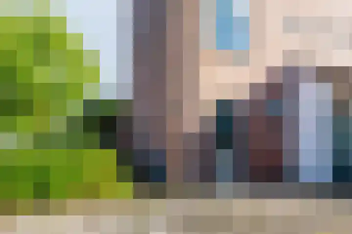 Mouterij 75 Gorredijk thumbnail 19
